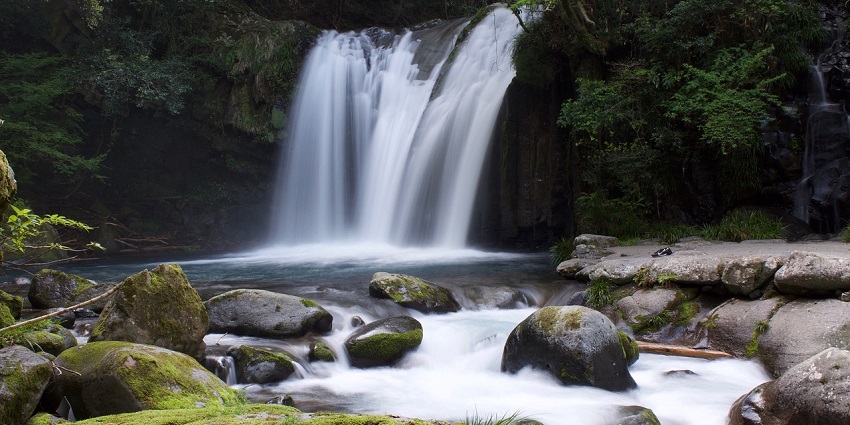 A scenic shot of the Manimuthar Waterfalls surrounded by dense forests.
