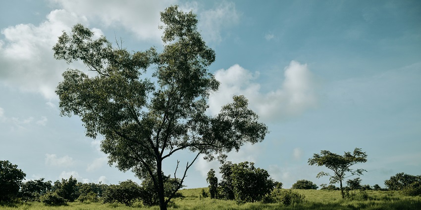 Witness the mesmerisng views at the famous spots in Manipal, Karnataka, India.