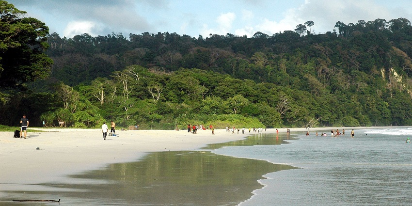 One of the beaches in India, with greenery and slow tide waves hitting the beach.