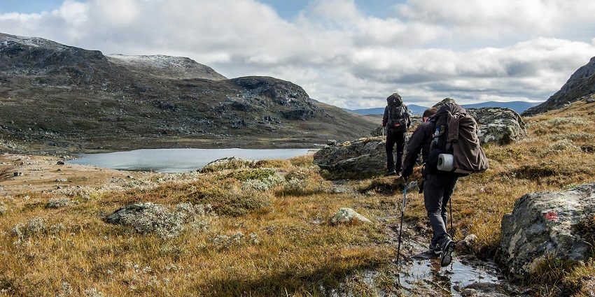 Mansar Lake trek takes you through thick forests and surrounding hills.
