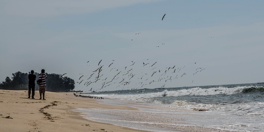 Birds soar over Maravanthe Beach, embodying nature's beauty and coastal freedom.