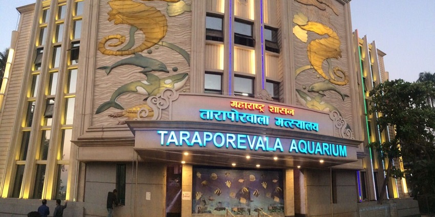 Visiting Taraporewala Aquarium is one of the top things to do in Mumbai for youngsters.