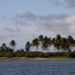 A picture of an island in Lakshadweep located near the Marine Museum