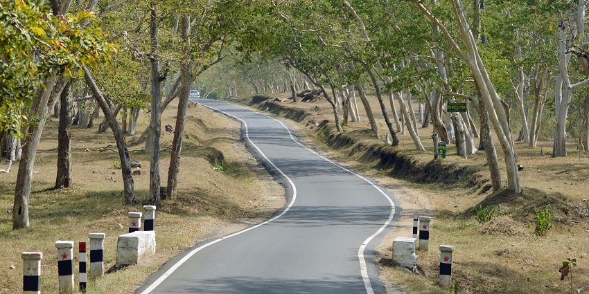A picture of a wildlife haven, Masinagudi that is great for safaris and nature walks.