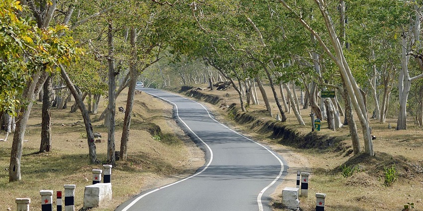 Places to visit near Ooty feature, a picturesque town known for wildlife and scenic natural magnificence.