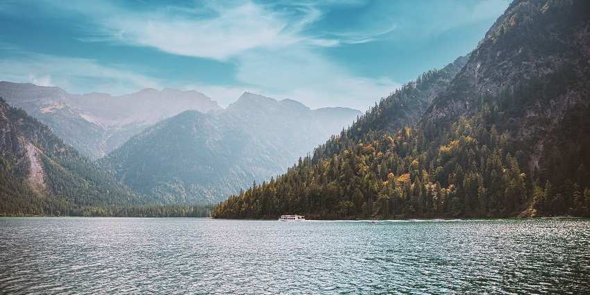 A serene lake surrounded by trees, offering a peaceful retreat to all nature lovers