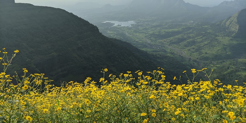 A picture of Matheran, one of the places to visit near Mumbai amidst the lush green forests.