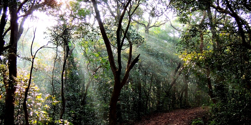 Matheran, the charming hill station with lush landscapes and scenic views.