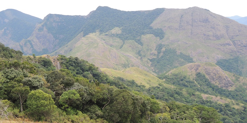 The rolling tea estates of Megamalai near Kumbakarai Waterfalls is a scenic attraction