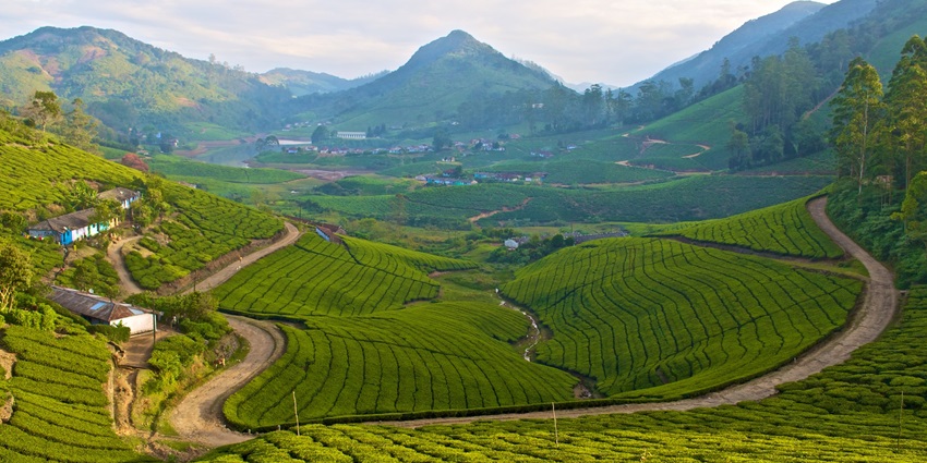 A mesmerising view of the Meghamalai featuring majestic peaks and lush greenery.