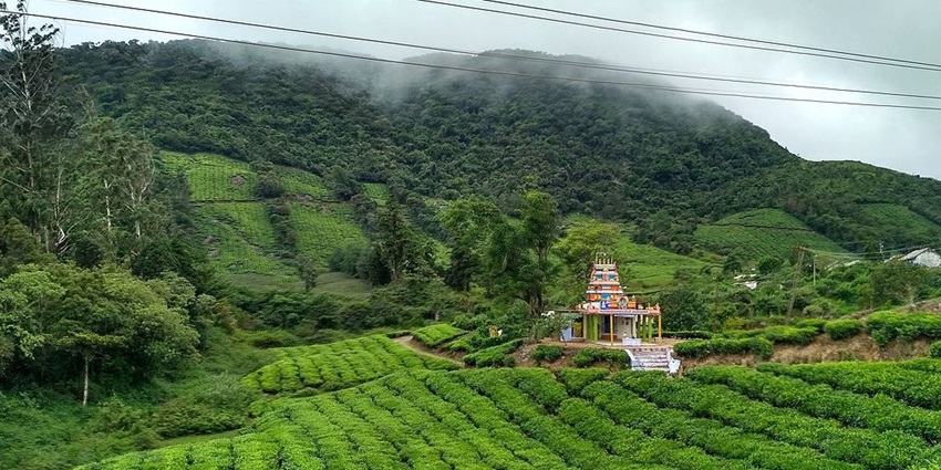 Scenic view of Meghamalai Hills, showcasing lush greenery and misty landscapes