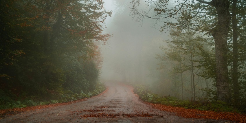 A picture of a street which is considered as one of the most haunted places in Gurgaon