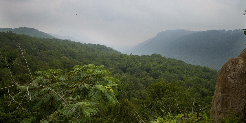Lush hills perfect for trekking and exploring nature.