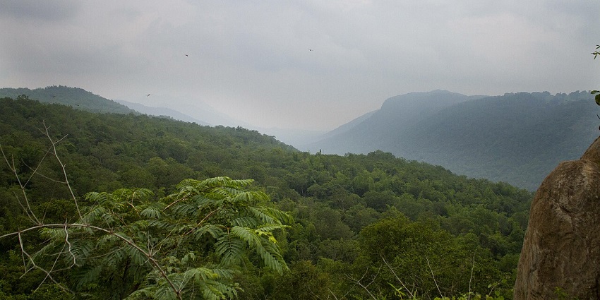 Places to visit near Hogenakkal falls feature hills perfect for trekking and exploration.