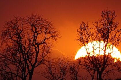 A breathtaking view of the sunset over the Melghat National Park in Amravati.