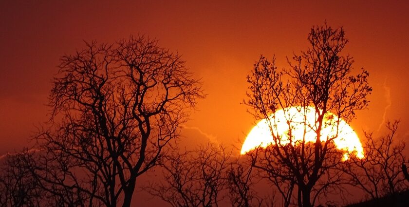 A breathtaking view of the sunset over the Melghat National Park in Amravati.