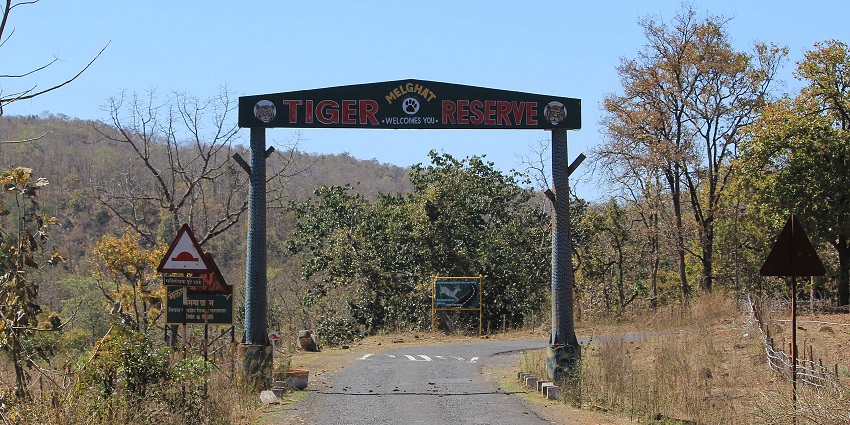 Melghat Tiger Reserve near Amravati is renowned for Bengal tigers and rich biodiversity.