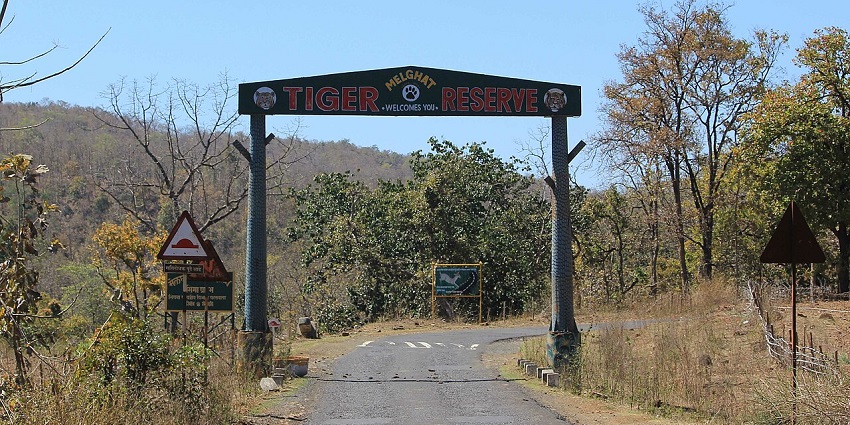 A green forest with dense trees and hilly terrain under a cloudy sky in Melghat Tiger Reserve