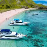 The gorgeous view of Menjangan Island due to clear waters and rich coral reefs.