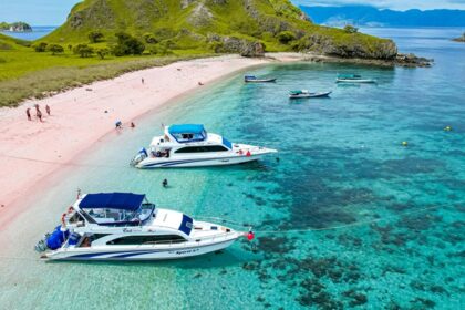 The gorgeous view of Menjangan Island due to clear waters and rich coral reefs.