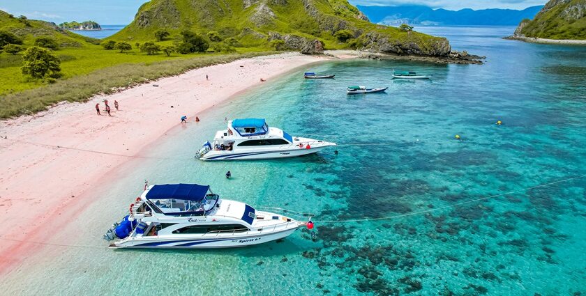 The gorgeous view of Menjangan Island due to clear waters and rich coral reefs.