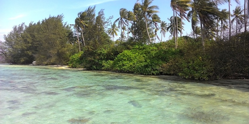 The view of pure waters near Menjangan Island, perfect for water sports enthusiasts.