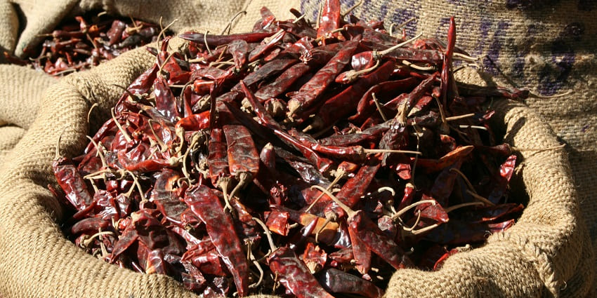 The aroma of spices and food fills the air, showcasing Mumbai’s culinary culture.