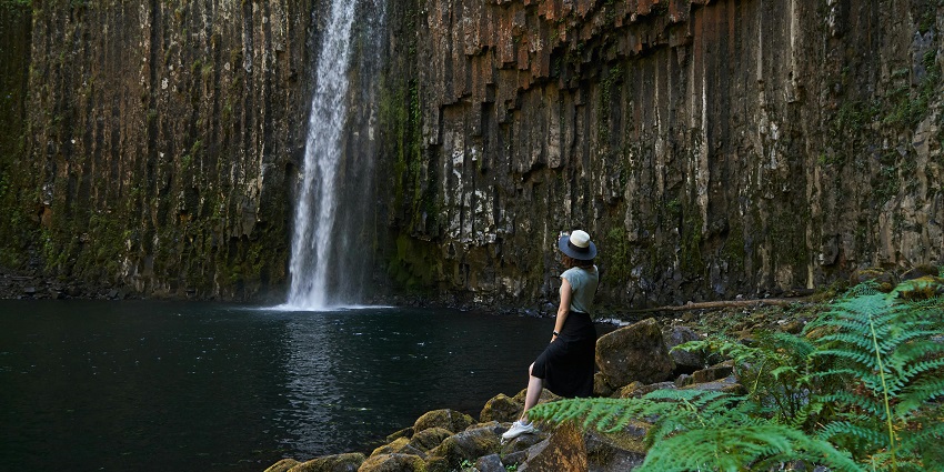 Reviving Monkey Falls with its sightseeing activity in Tamil Nadu
