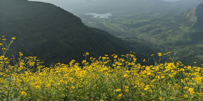 Monkey Point: panoramic views, playful monkeys, and easy trekking access.