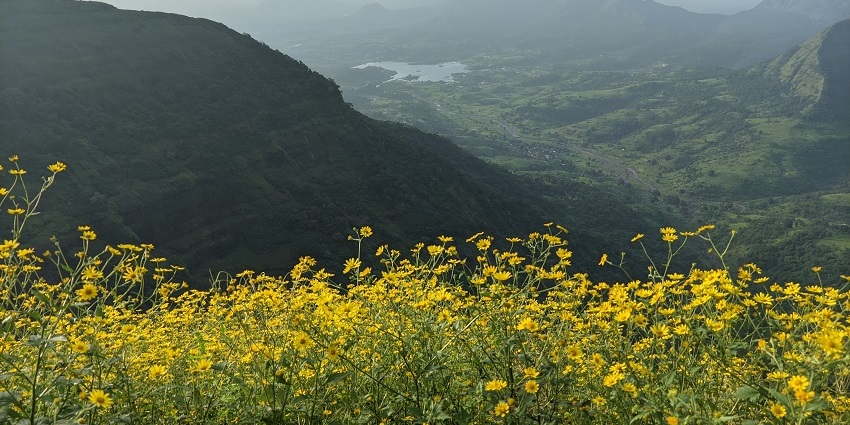 A glimpse of the beautiful Monkey Point decked with lush greenery and blooming flowers.