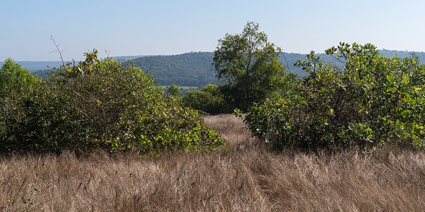 Monte Hill in Margao, South Goa features a serene chapel, panoramic city views, and peaceful walking trails, situated near Mario Miranda Museum Goa.