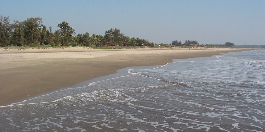 Morjim Beach is a tranquil coastal retreat and one of the best places to visit near Aguada Fort.