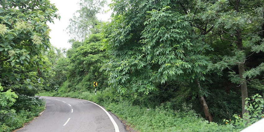 A serene view of Morni Hills is one of the best places near Chandigarh for weekend.