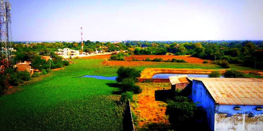 Moti Lake with serene waters, surrounded by trees, providing a peaceful view.