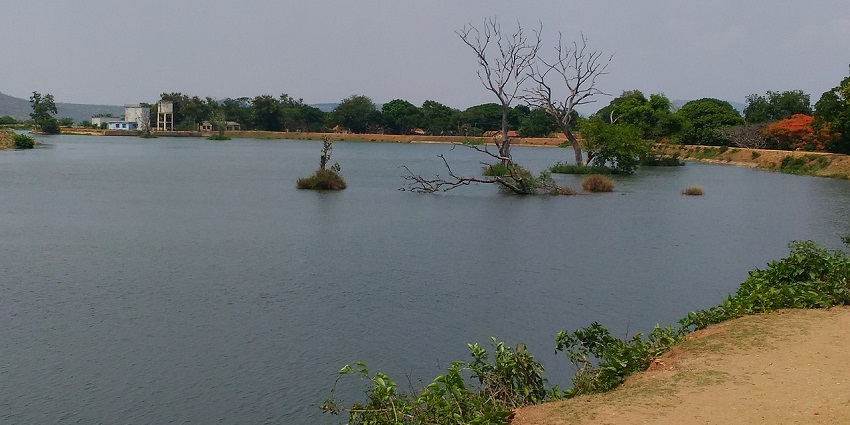 A scenic view of the Moyar River flowing through lush green landscapes and pleasant weather.