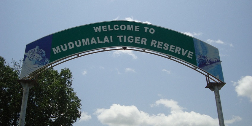A picture of Mudumalai Wildlife Sanctuary, one of the top wildlife places to visit in Gudalur