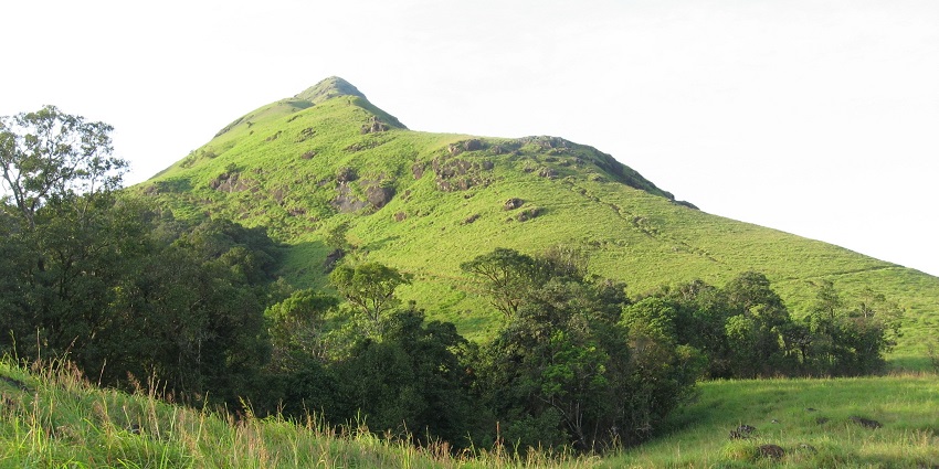Challenging trek with rewarding views of the Nilgiri mountains.
