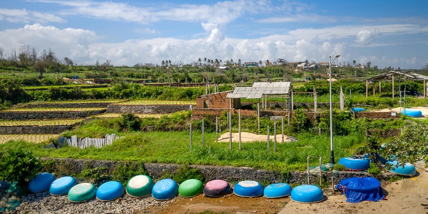 An expansive agricultural field in the countryside under a clear blue sky