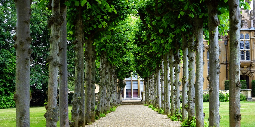 Municipal Garden is one of the relaxing places to visit in Bidar for evening walks.