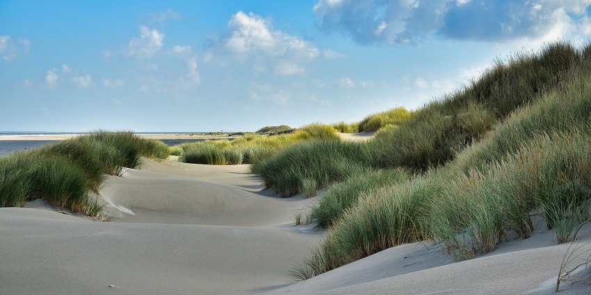 Nagaon Beach, a popular tourist destination with golden sands and serene shores.
