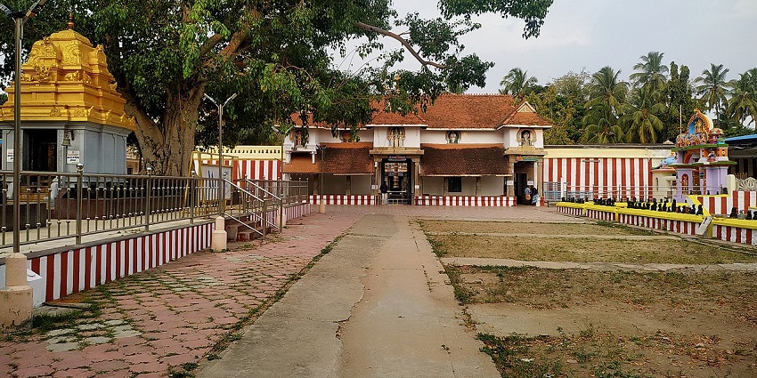 Nagaraja Temple is an early large temple found in the city of Nagercoil (Nagarkōyil) near the southern tip of Tamil Nadu