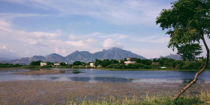 A view of the luscious landscapes of Nagercoil, located at the foot of the Western Ghats.