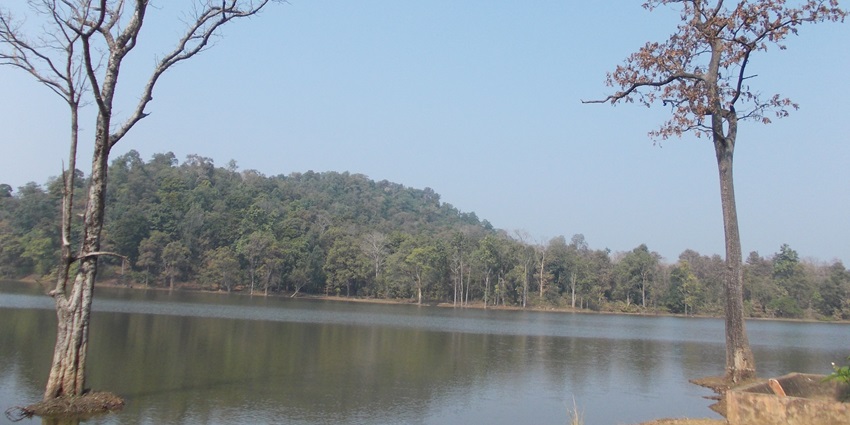 Nagzira Wildlife Sanctuary is a lush sanctuary featuring diverse wildlife and scenic landscapes.