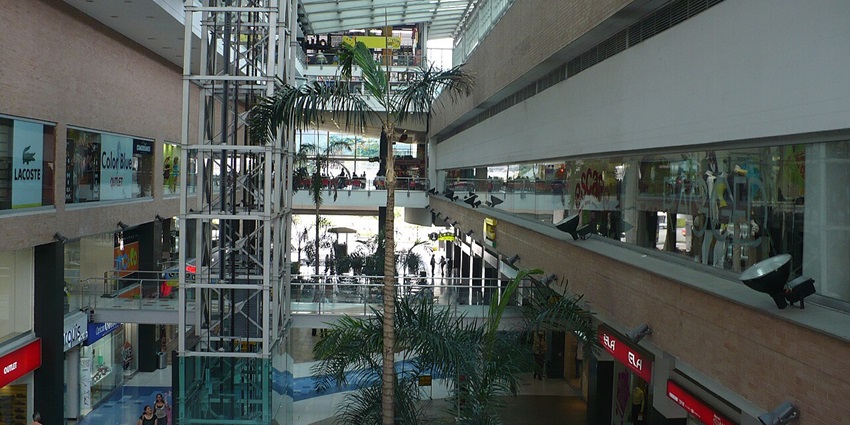 Snapshot of the interior of the Mall and the indoor plants in the mall