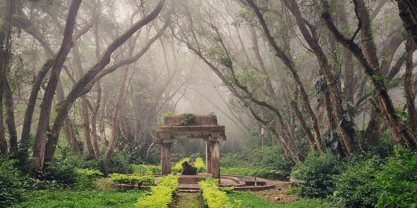 Nandi Hills feature scenic sunrise views, trekking, and historical sites.