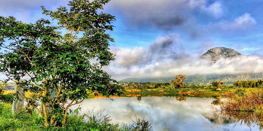 Nandi Hills feature breathtaking sunrise views, and lush greenery for travellers.