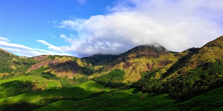 Scenic view of the green lush meadows of Nandi hills offering an enchanting escape