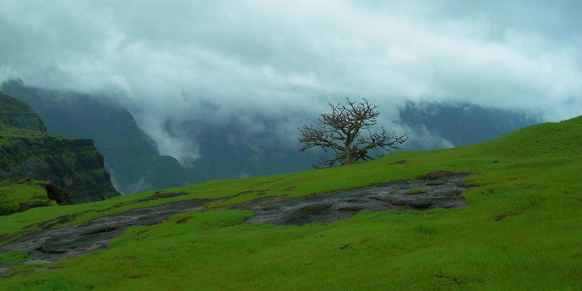 Navigate through the rocky paths of the famous Naneghat Pass for breathtaking views.