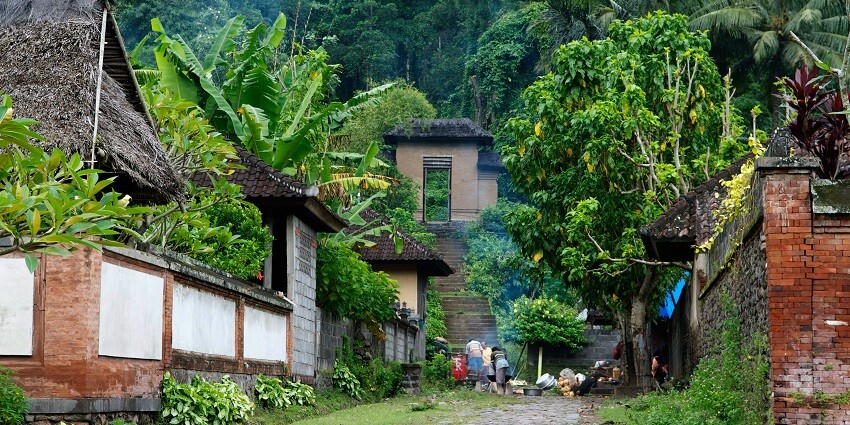 Nannaj Village offers a woodland view with lush green trees and sunlight filtering through leaves.