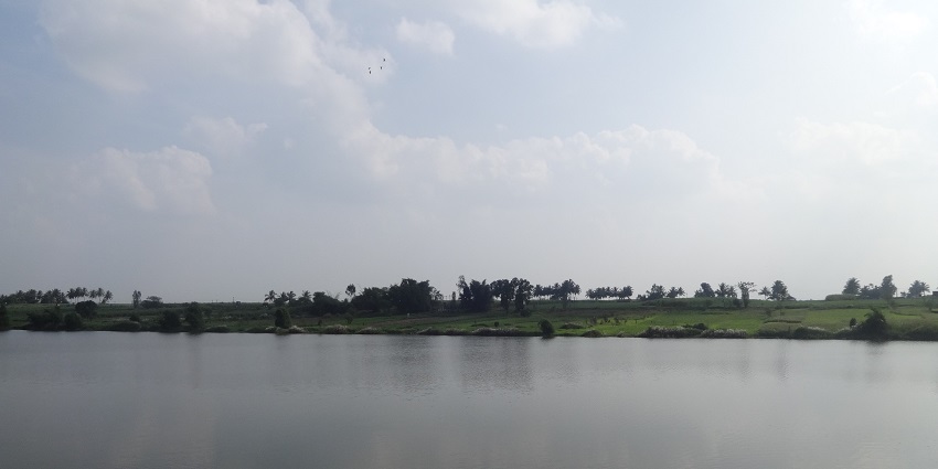 Naradagadde is an island village near Kuruvakala village in the Raichur taluk of Raichur district in the Indian state of Karnataka.